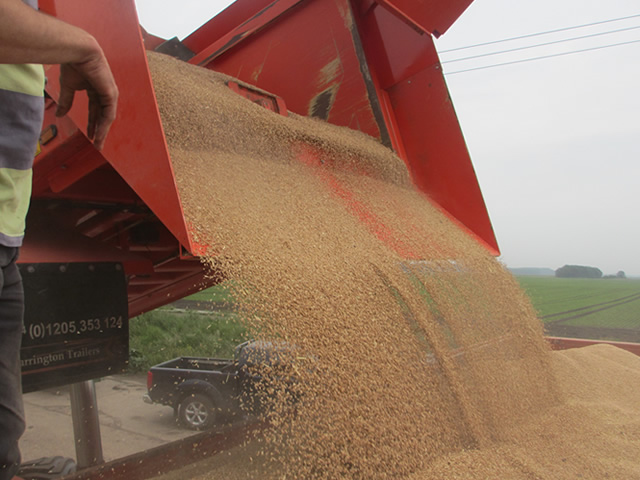 Chaser Trailer - Image 3